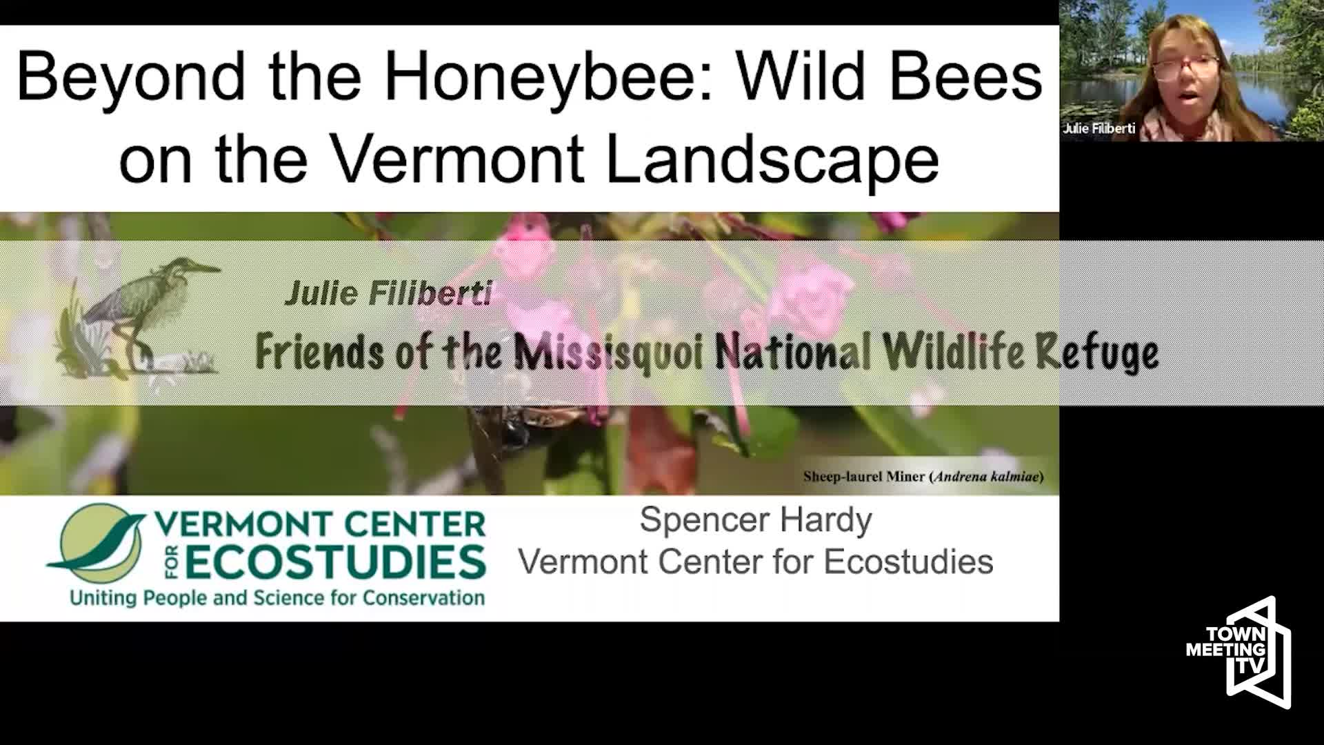 Beyond The Honeybee: 'Wild Bees On The Vermont Landscape'