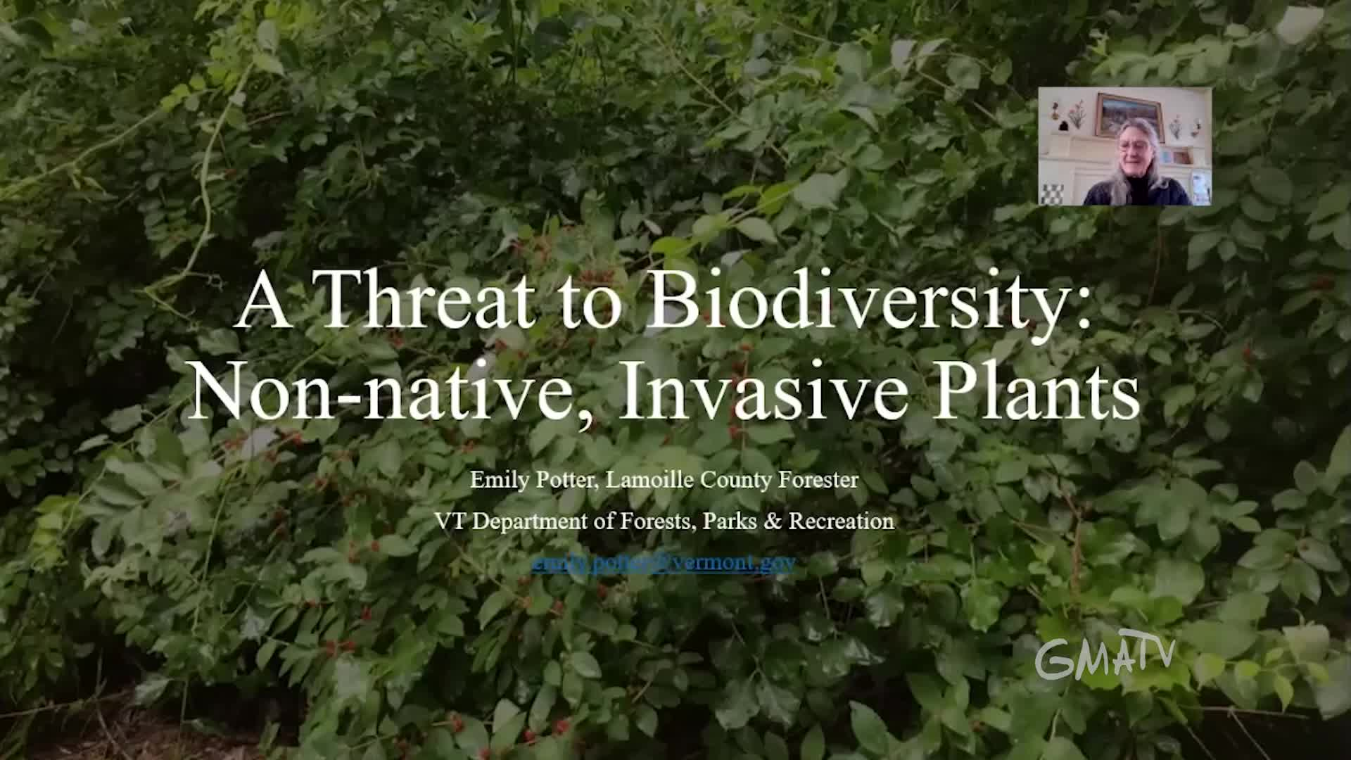 Thumbnail image for Johnson Public Library: 'Invasive Plants'