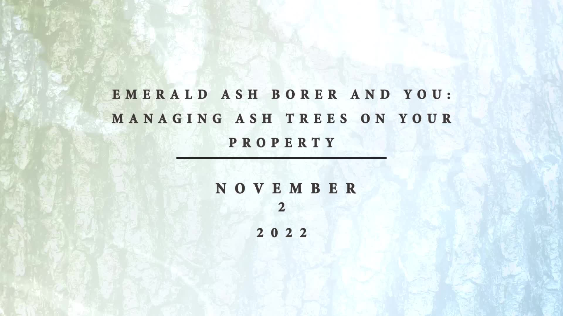 Thumbnail image for Vermont Land Trust: 'Emerald Ash Borer and You: Managing Ash Trees On Your Property'