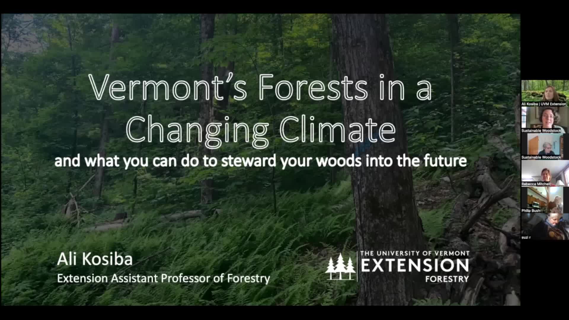 Thumbnail image for Sustainable Woodstock Green Series: 'VT Forests In Changing Climate'
