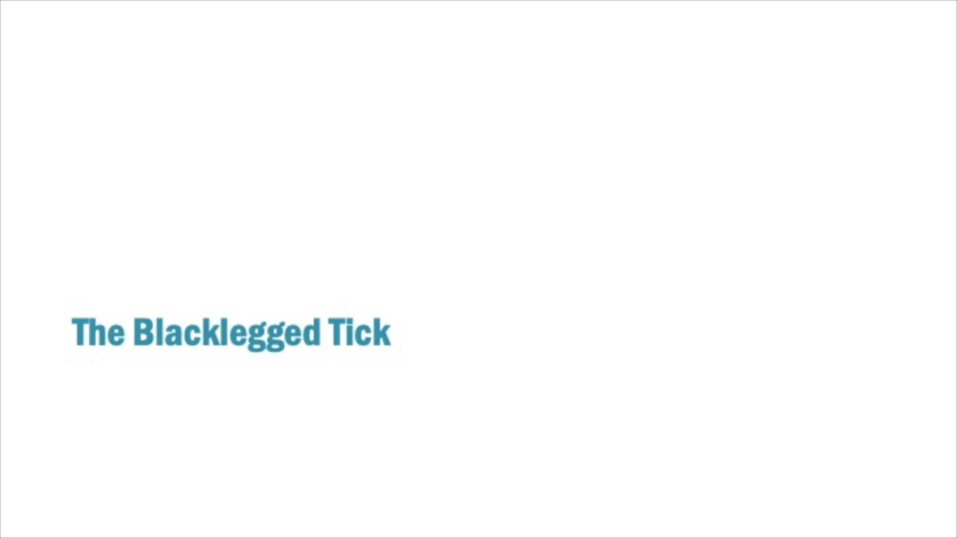Thumbnail image for VT Public Health: 'Tickborne Diseases'