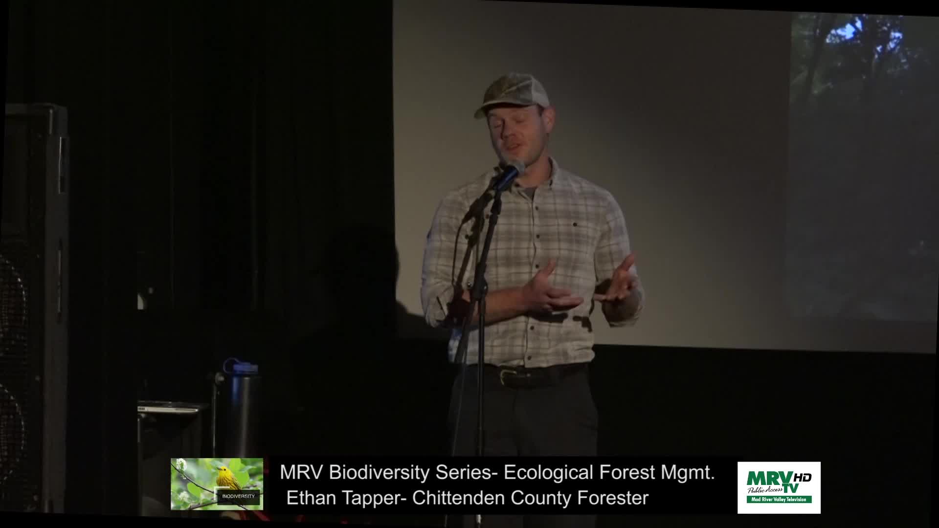 Thumbnail image for MRV Biodiversity Series: 'Ecological Forestry'