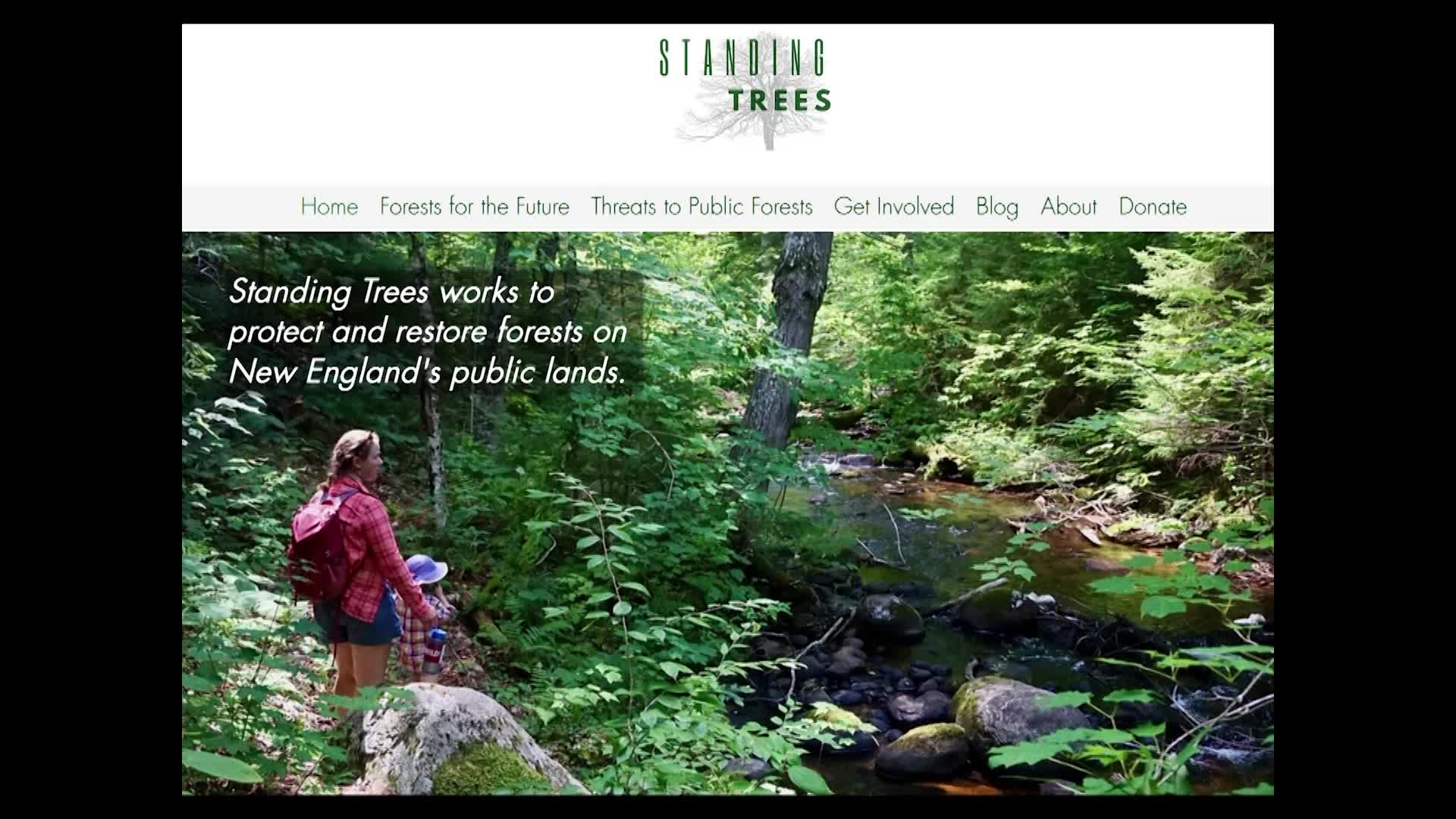 Thumbnail image for Standing Trees VT: 'The Uncertain Future Of VT's Wild Worcester Range'