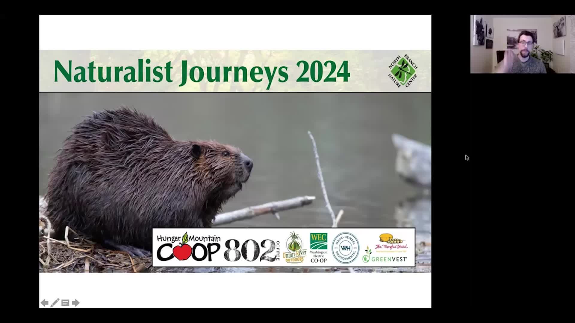 Thumbnail image for North Branch Nature Center: 'Partnering With Beavers To Heal The Planet'