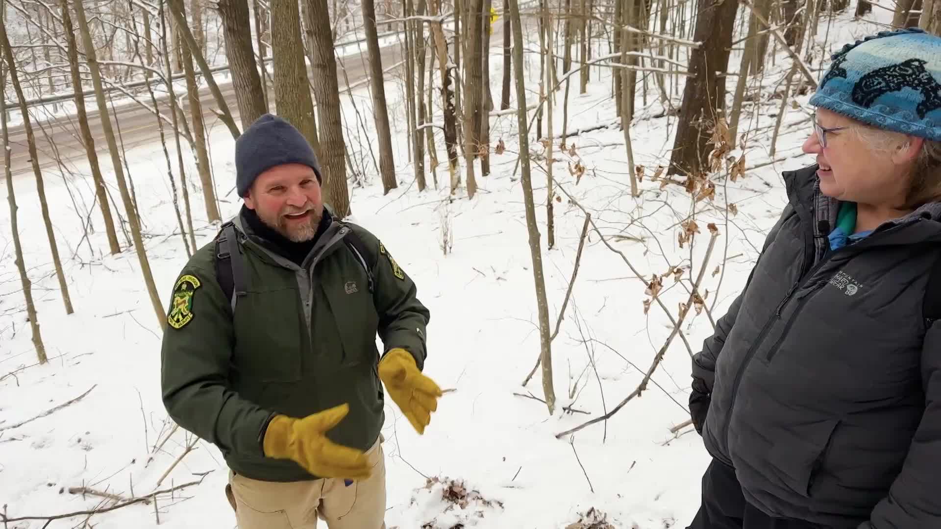Thumbnail image for VT Master Naturalist: 'Tracking Wildlife'