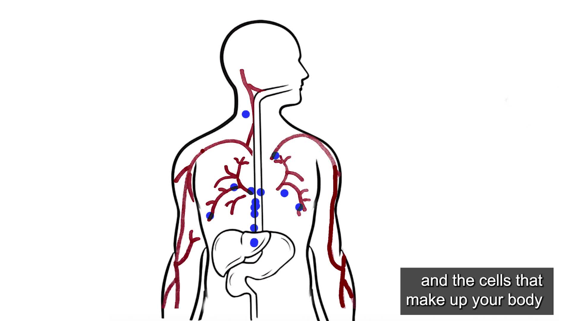 Thumbnail image for VT Language Justice Project: 'What Is Diabetes'