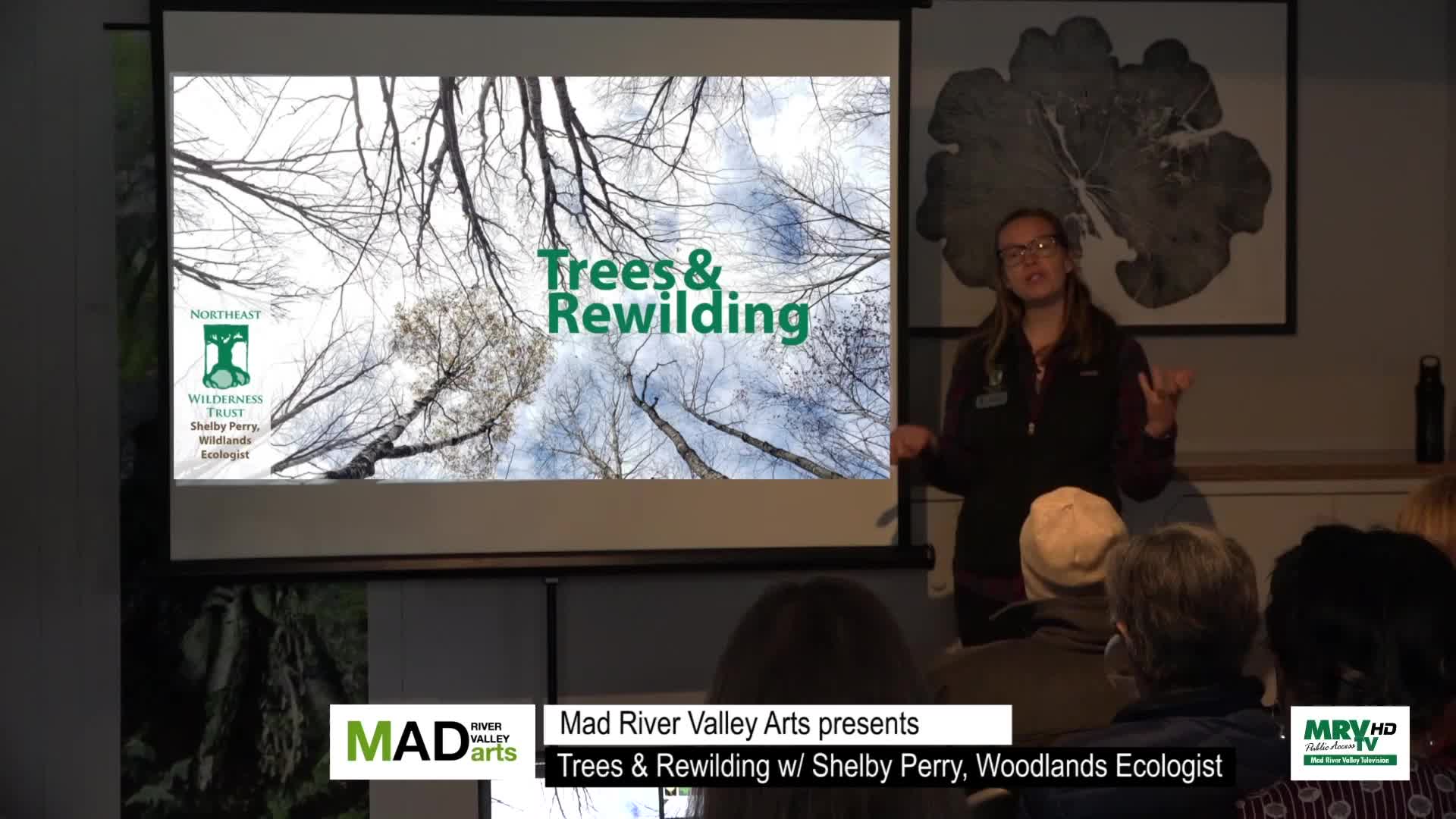 Thumbnail image for MRV Biodiversity Series: 'Trees And Rewilding'