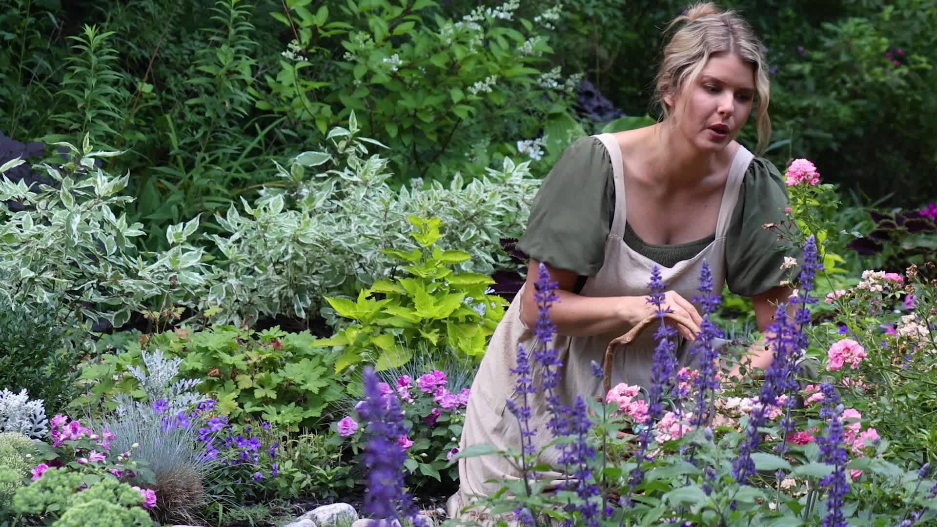 Thumbnail image for Our Gardens: 'Wild'