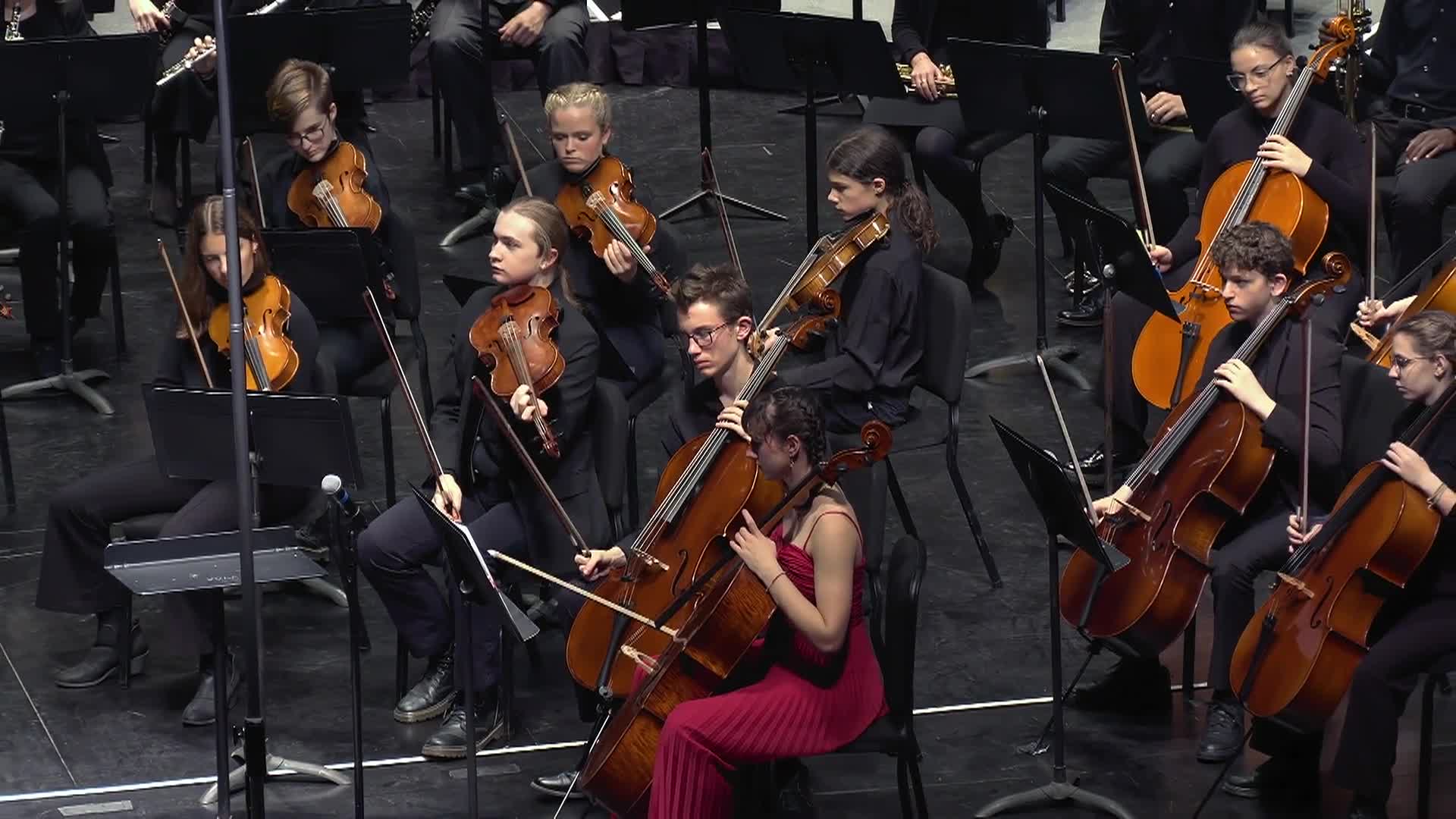 Thumbnail image for VT Youth Orchestra Shorts: 'Danse Macabre'