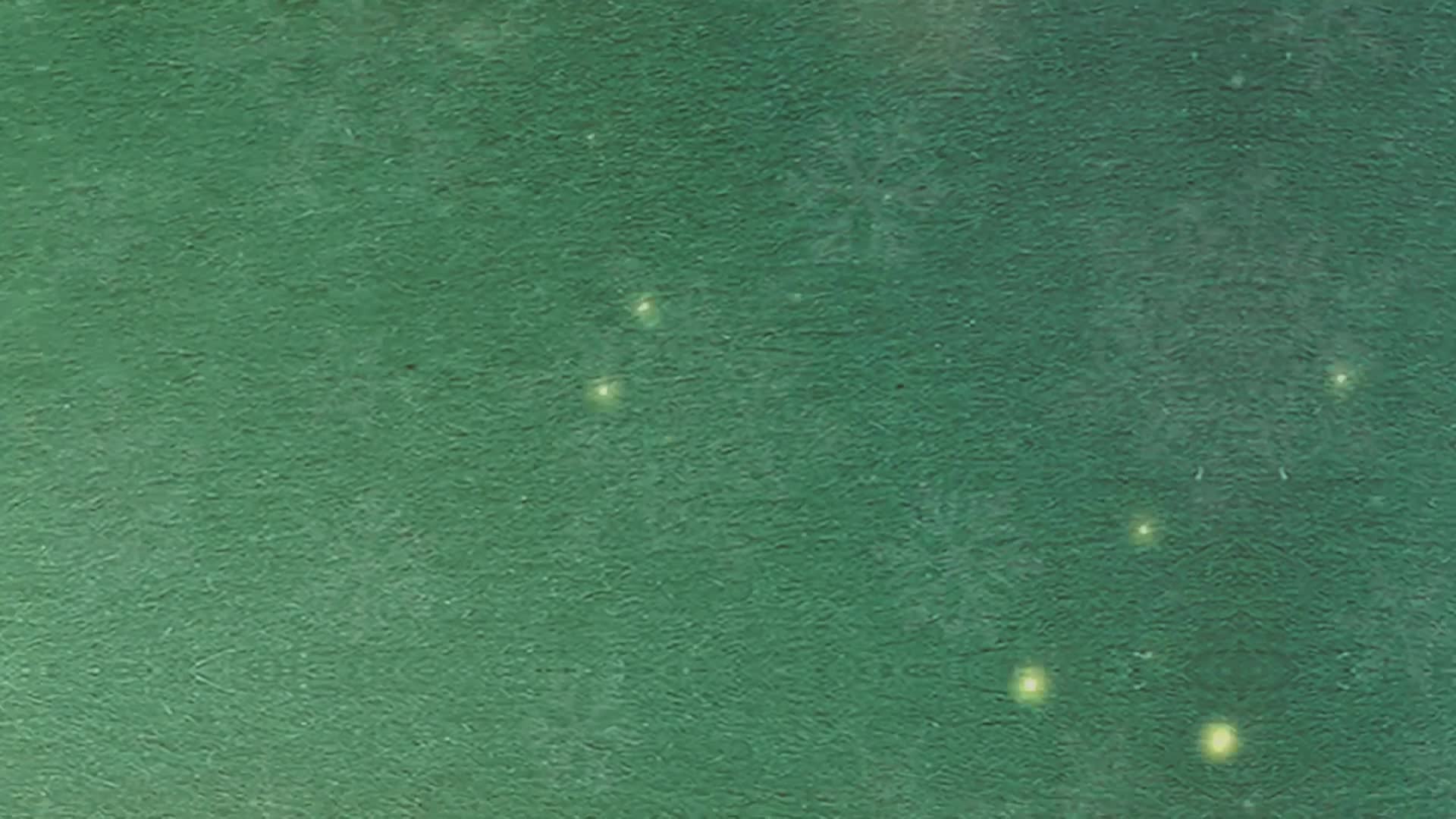 Happy Holidays! Bump 3 2024