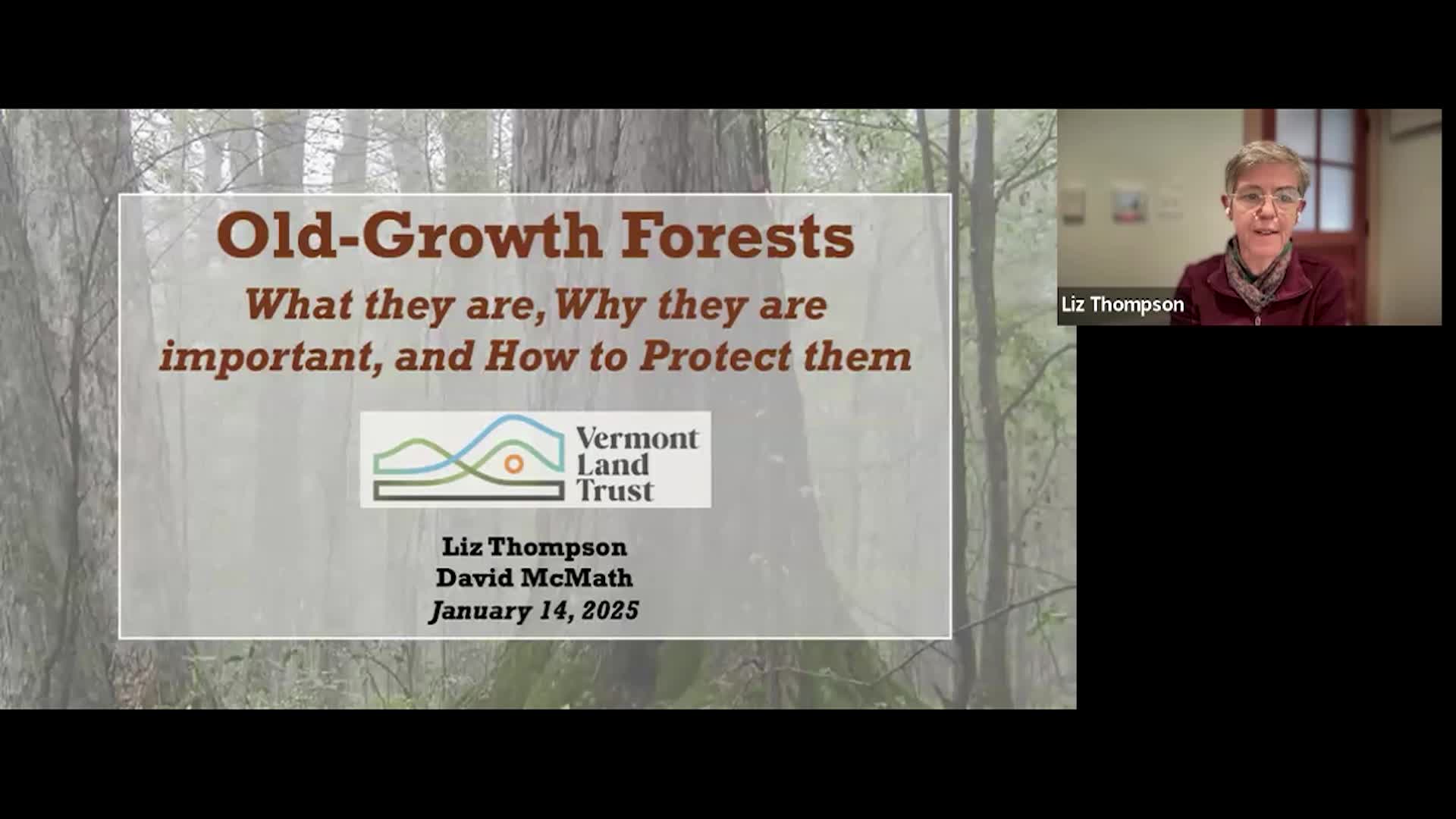 Thumbnail image for VT Land Trust: 'Old Growth Forest Characteristics'