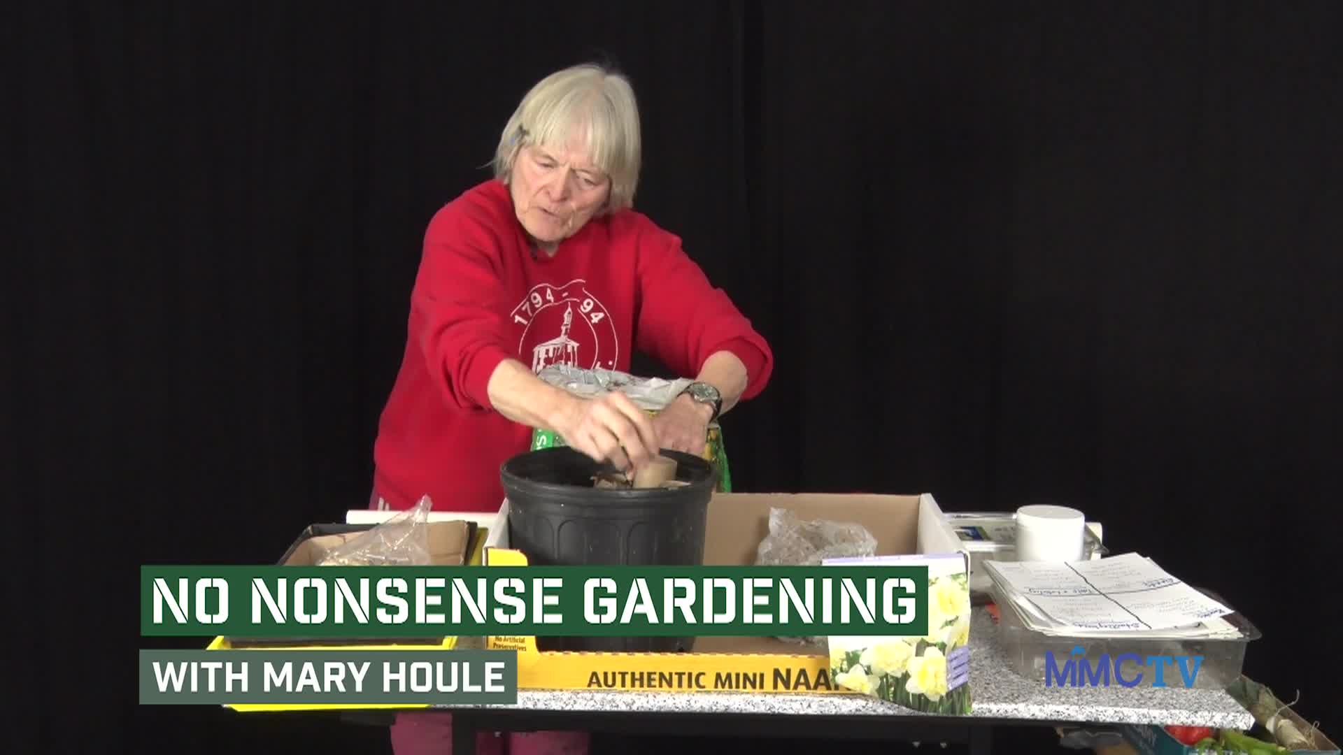 Thumbnail image for No Nonsense Gardening: 'Winter Gardening'