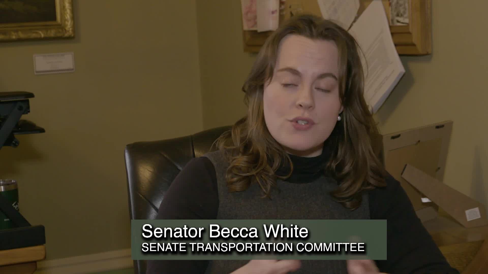 Thumbnail image for Senator Rebecca White: 'Legislative Update'