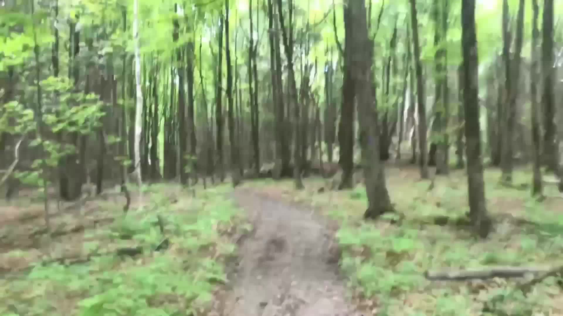 Rations: 'Bison Bowl & Peach Cobbler'