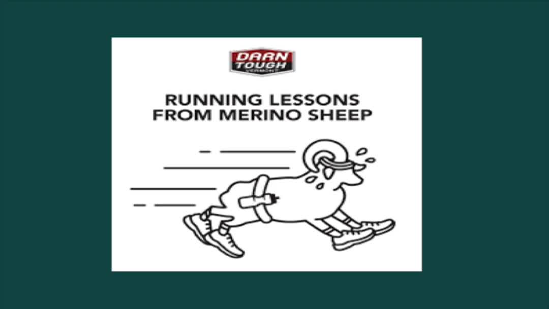 BHS Vermont: 'VT's Merino Wool History'