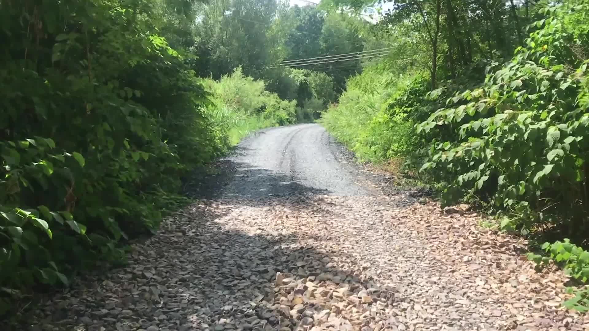 Rations: 'From Spillway To Bramble'