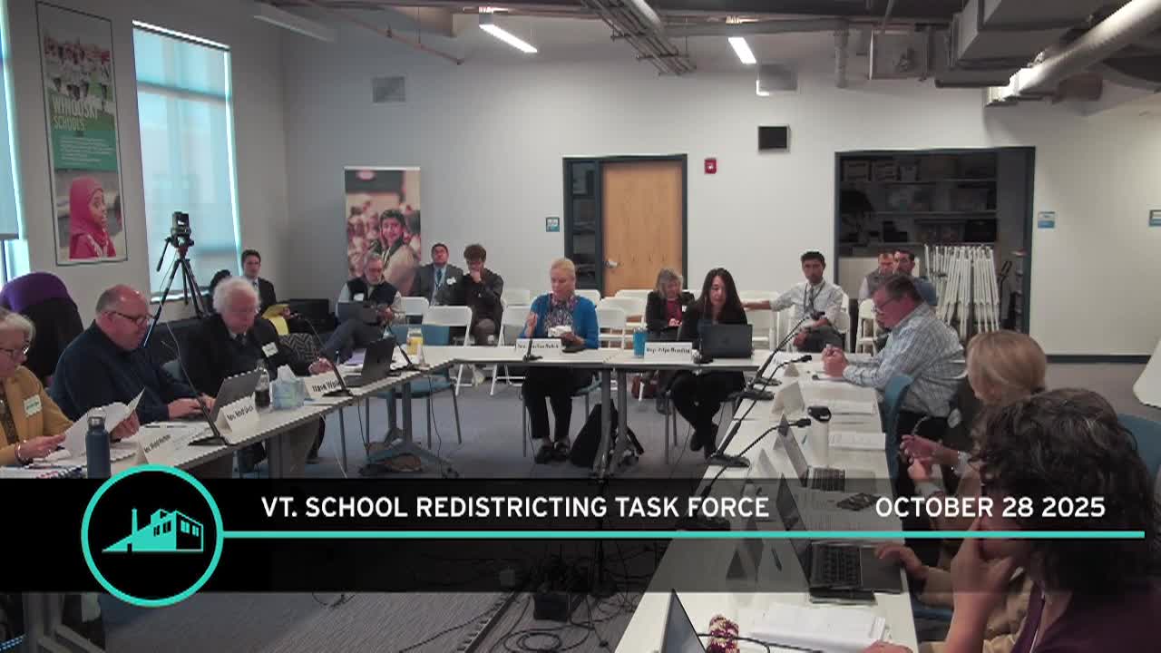 School District Redistricting Task Force: 'October 28, 2025 GA'
