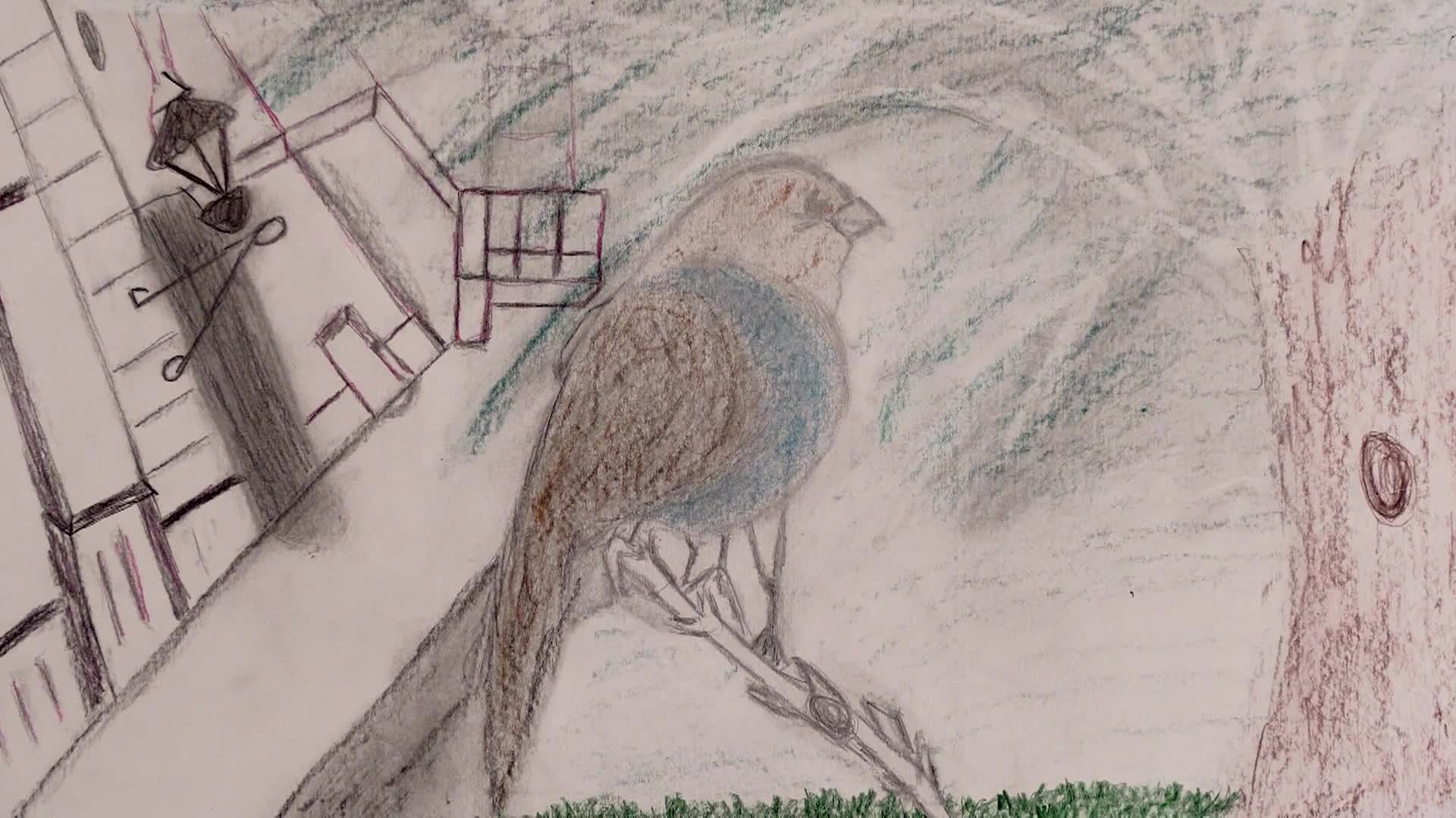 Beyond Bars: 'Reimagining Justice And Healing In VT'