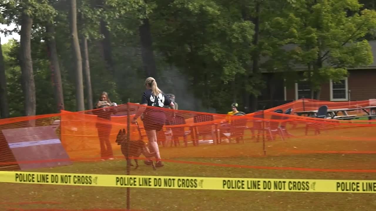 Green Mountain Iron Dog: 'Highlights 2025'