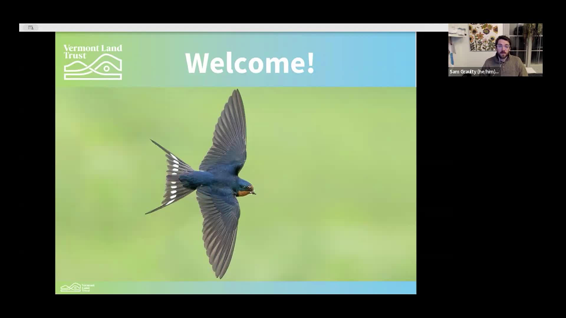 VT Land Trust: 'Ecology & Conservation of Barn Swallows in New England'