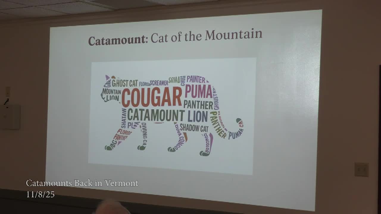 Catamount Arts: 'Catamount Is Back In VT'