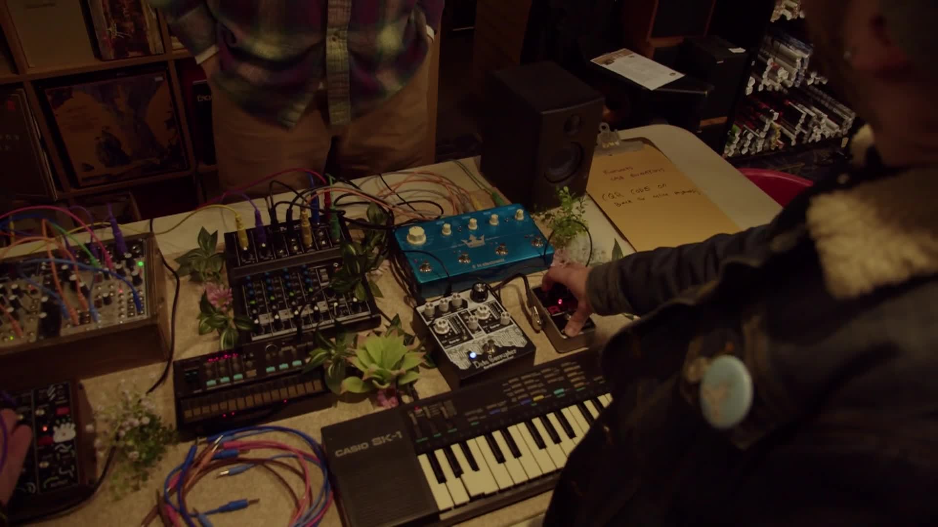 Circuits In The Woods: 'Synth Petting Zoo'