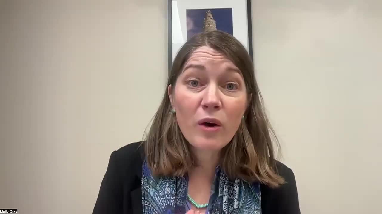 Beyond Minnesota: 'Supporting Refugees & Immigrants In VT'