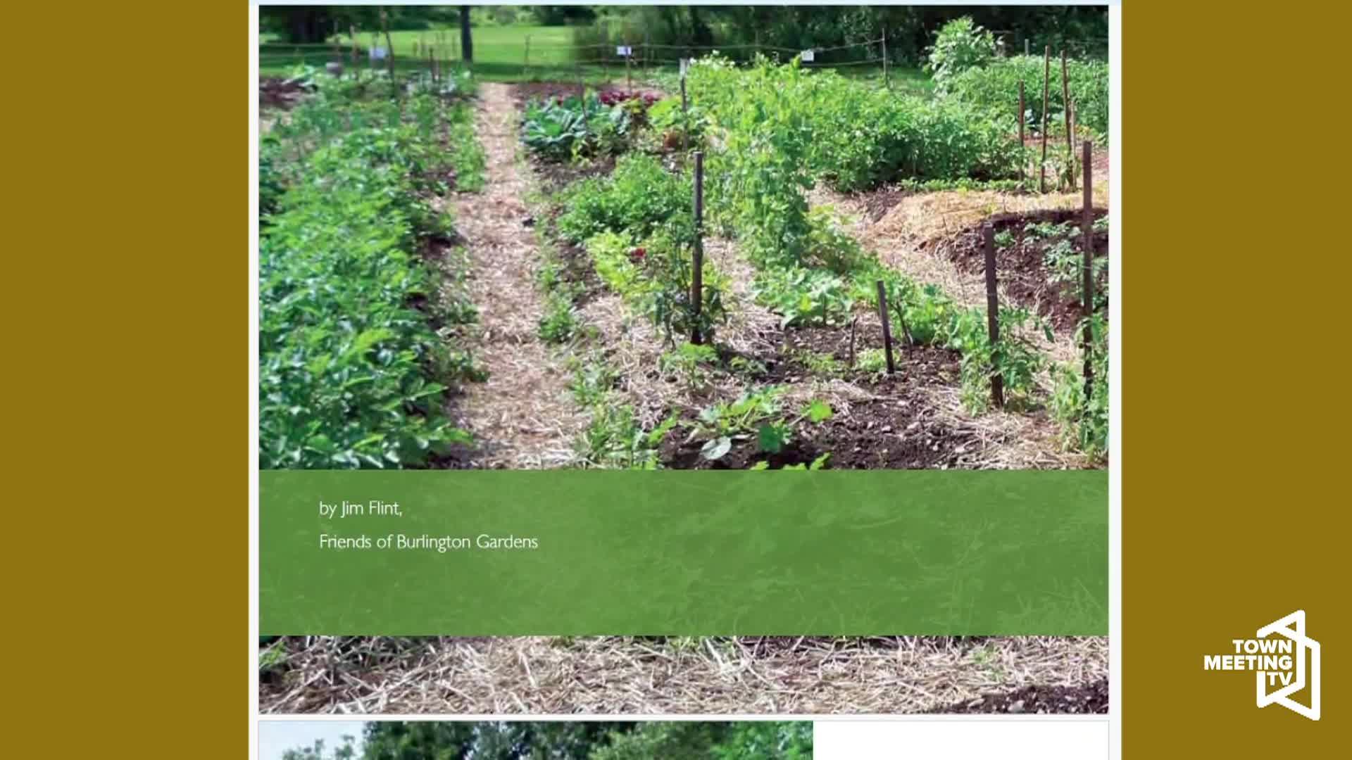 Positively Vermont: 'VT Garden Network'