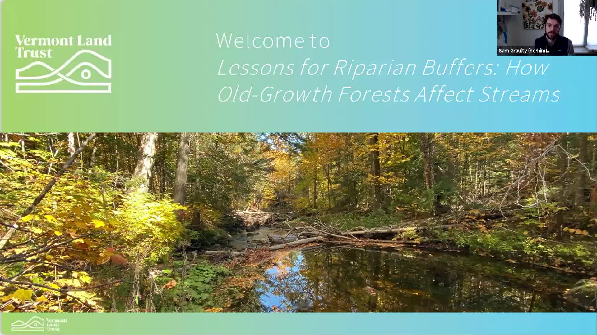 VT Land Trust: 'Lessons for Riparian Buffers: How Old-Growth Forests Affect Streams'