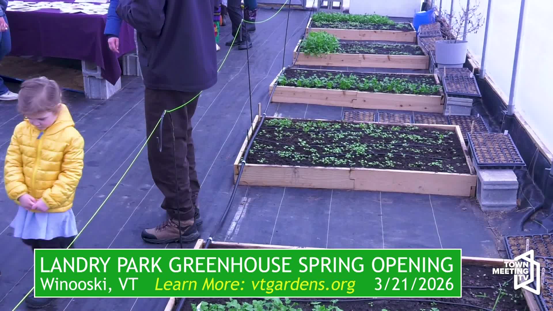 Thumbnail image for VT Garden Network: 'Landry Park Greenhouse Spring Opening'