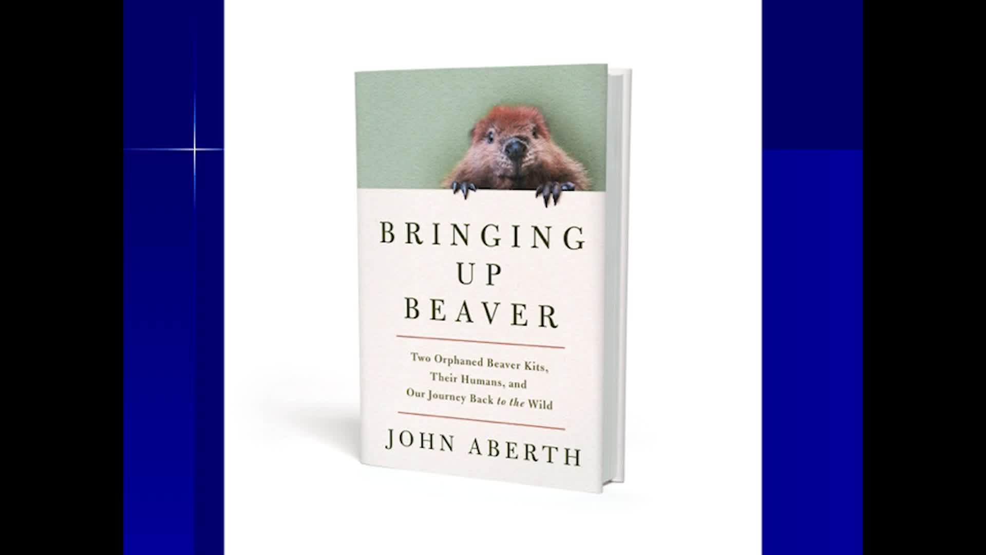 Thumbnail image for St. J. Athenaeum: 'Bringing Up Beaver'