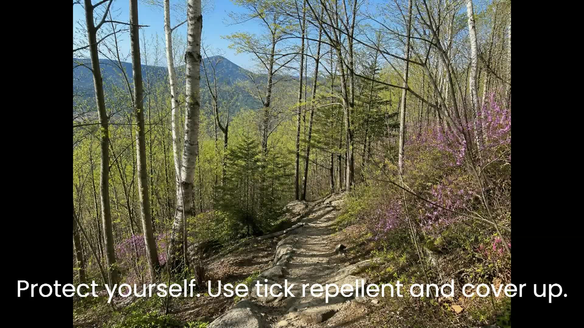 Thumbnail image for NNEPCC: 'Tick Prevention Tips'