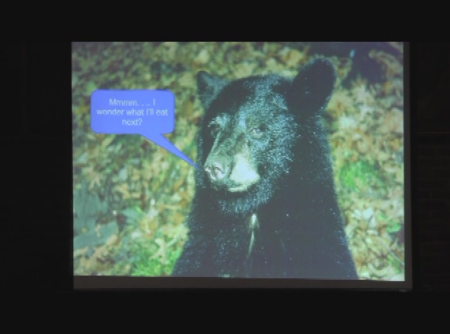 VT Fish and Wildlife: 'Living with Bears'