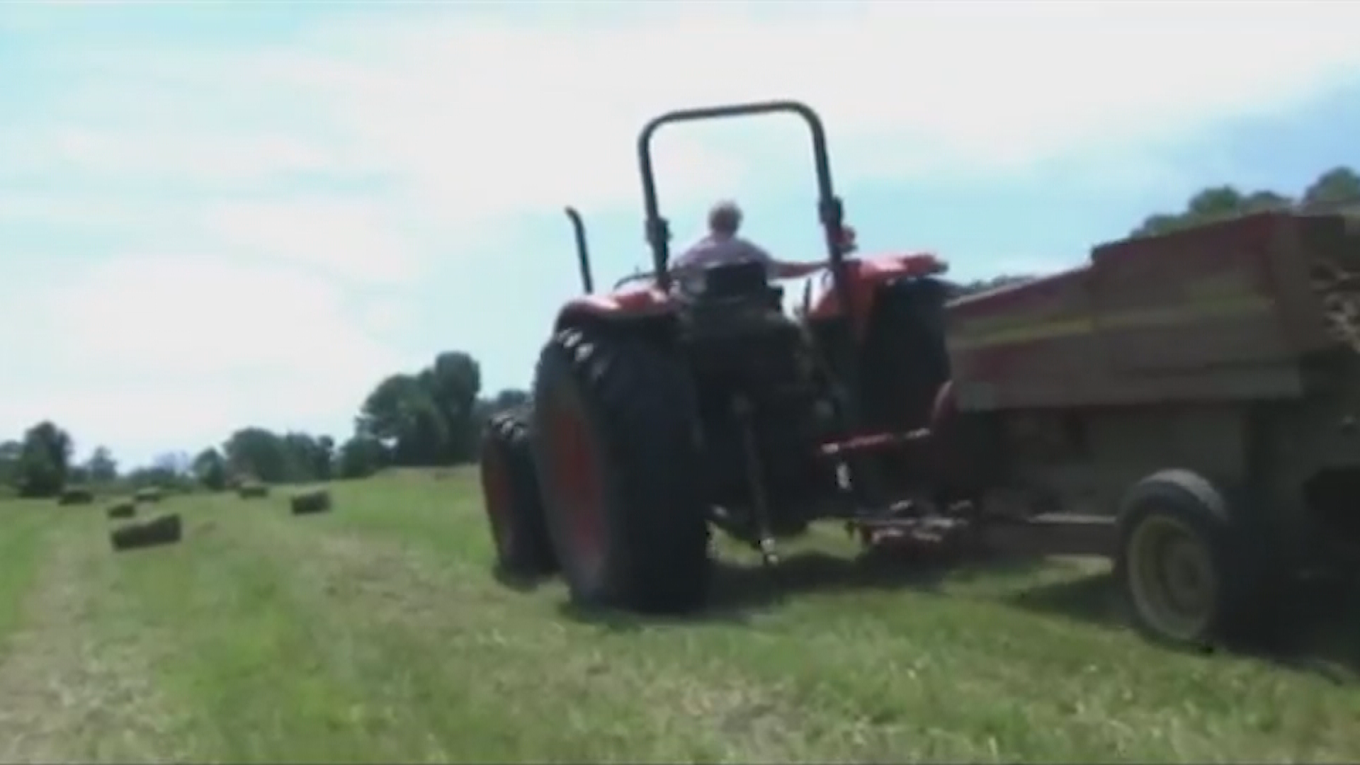 Thumbnail image for The Process of Making Hay