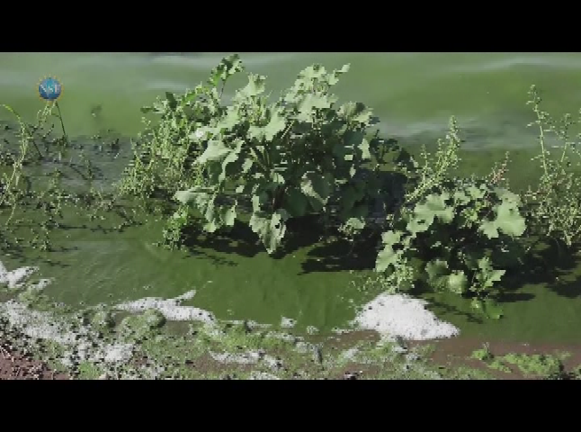 Science360: 'LIGO Documentary Project'