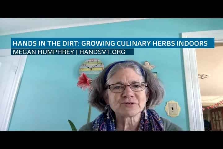 Thumbnail image for HANDS in the Dirt: 'Growing Culinary Herbs Indoors'