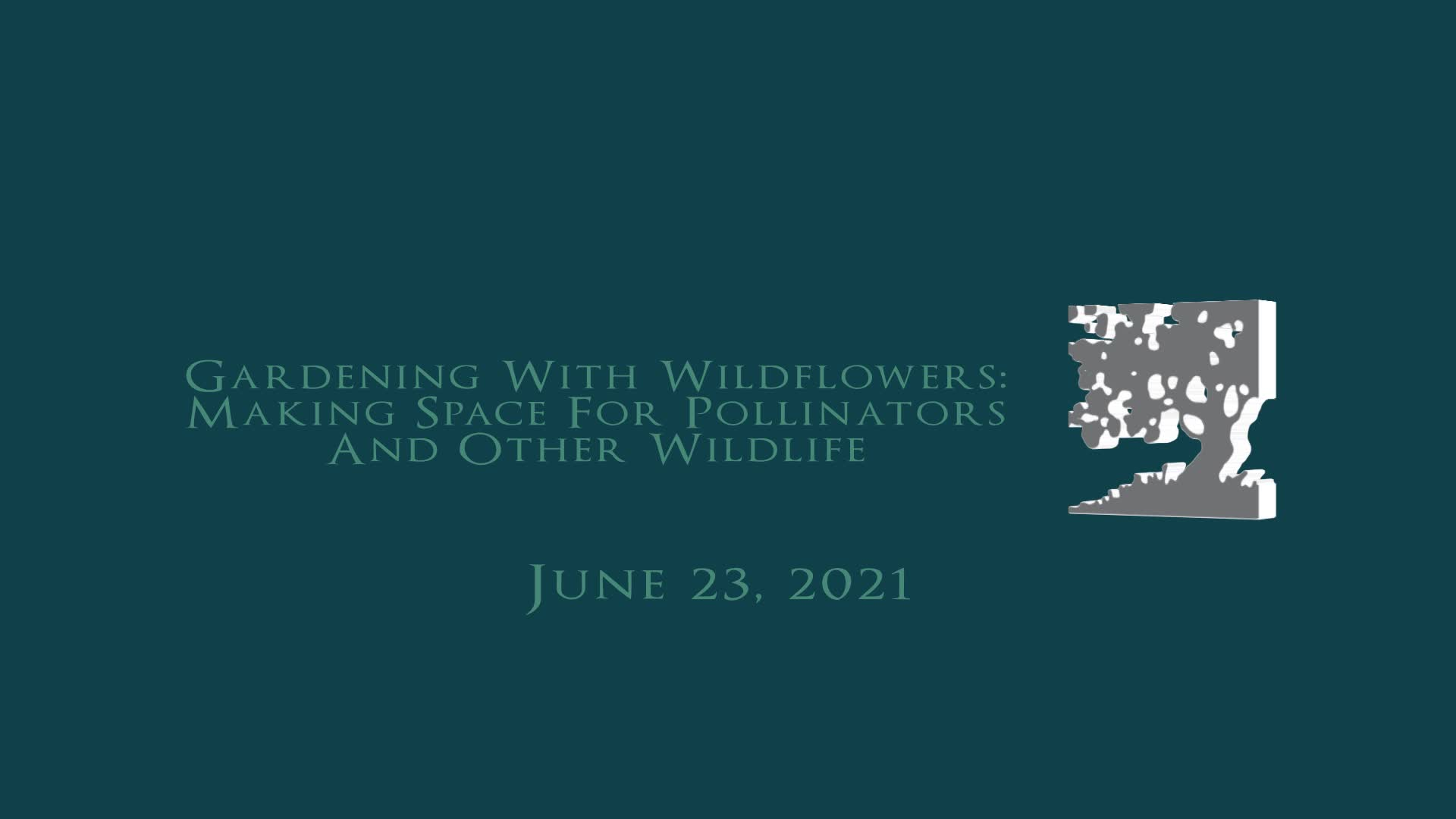 Thumbnail image for Vermont Land Trust: 'Gardening With Wildflowers: Making Space For Pollinators And Other Wildlife'
